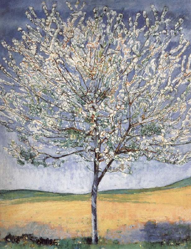 Ferdinand Hodler Cherry tree in bloom oil painting picture